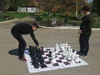 Урок шахмат (2019 - 2020). Новость. МБОУ лицей №4 (г. Краснодар)
