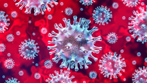 Как защититься от коронавируса 2019-nCoV (2019 - 2020). Новость. МБОУ лицей №4 (г. Краснодар)